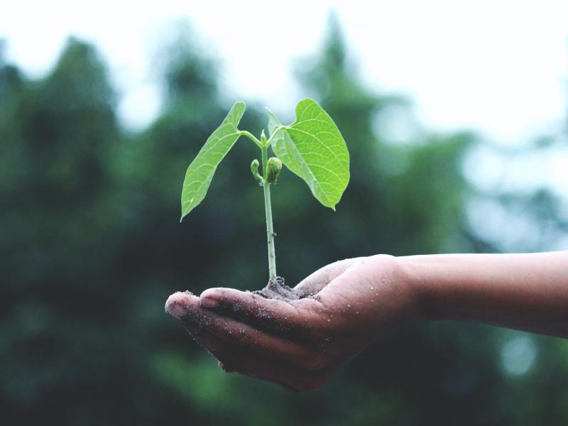 Patrimoine & Environnement