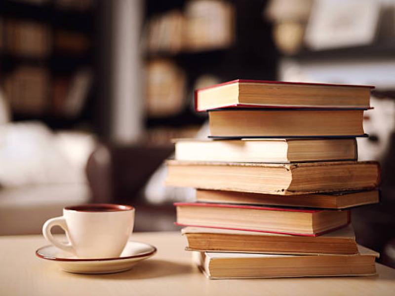 La bibliothèque et Ludothèque